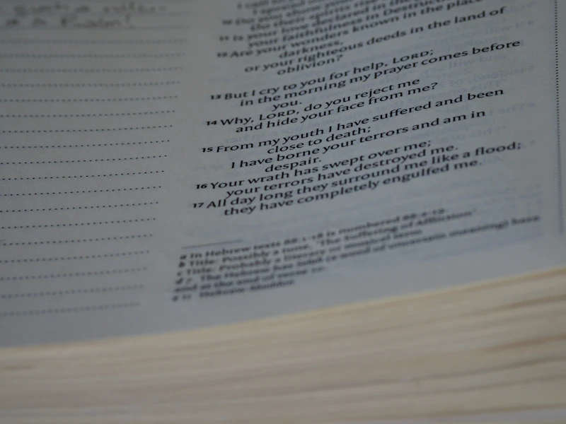 기초생활수급자