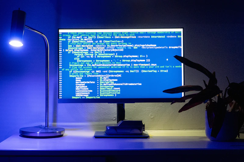 사이버보안 전문가