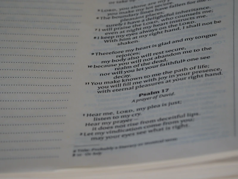 회계사 꿈 이루는 비법 공개! 15년 베테랑의 실패와 성공 스토리